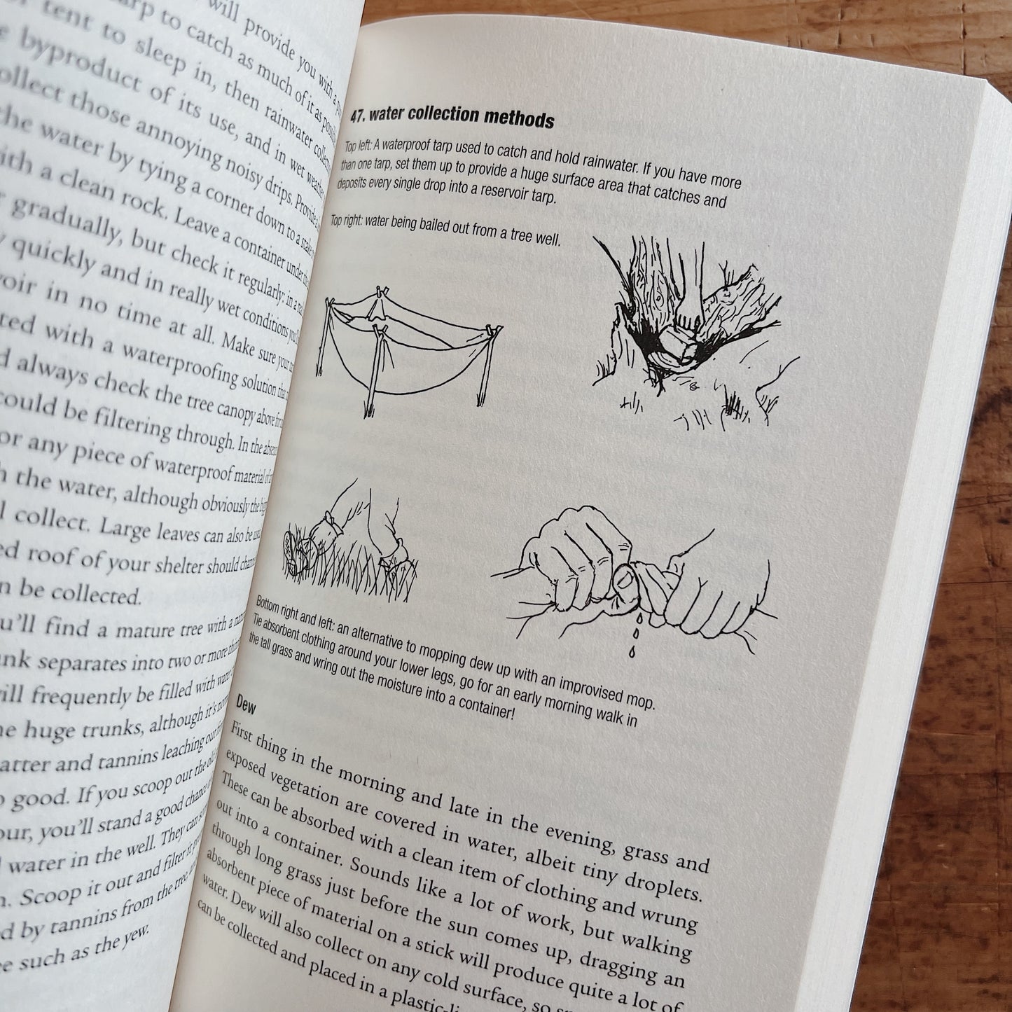 The Wilderness Survival Guide