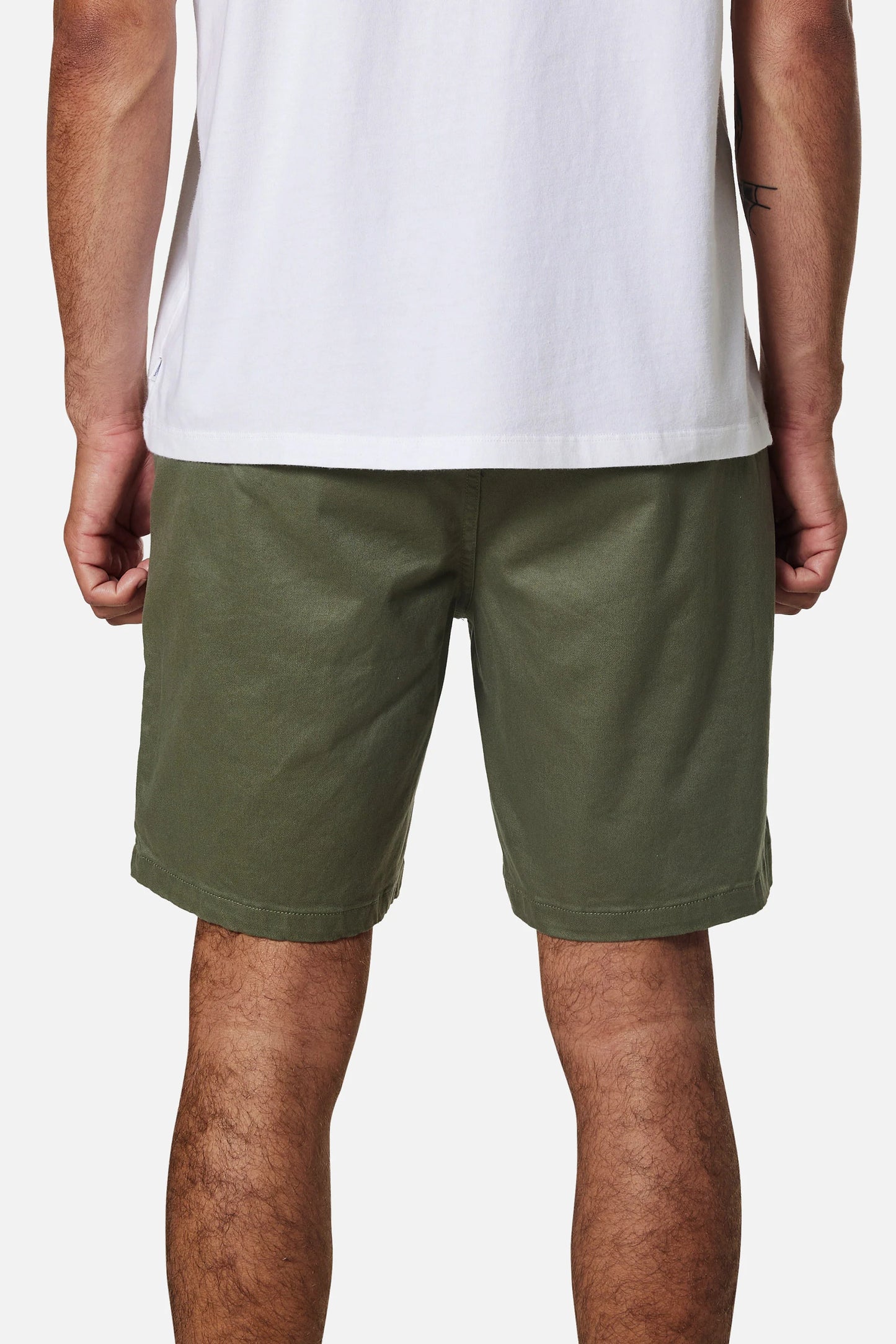 Cove Shorts in Cactus