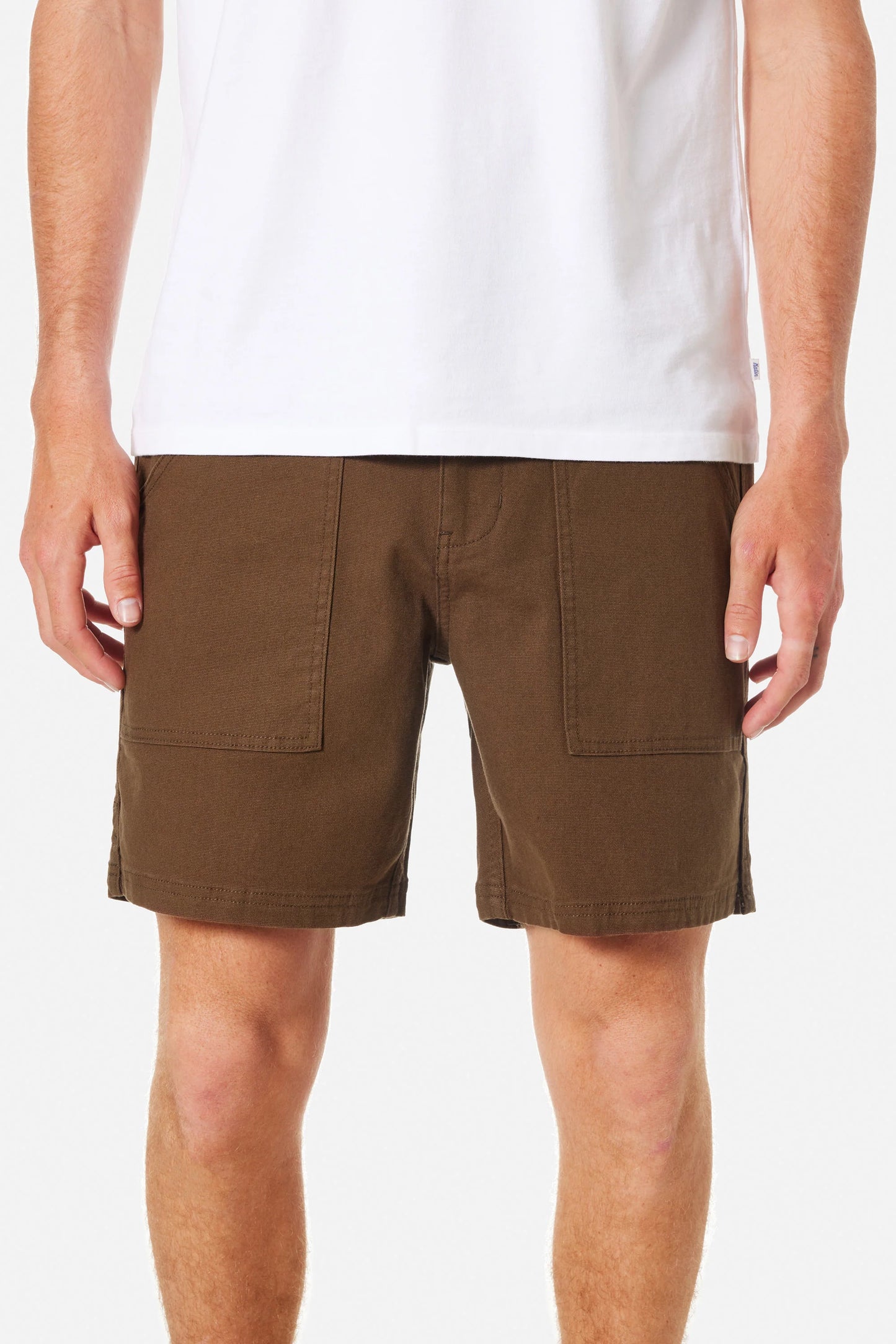 Trails Canvas Shorts in Earth