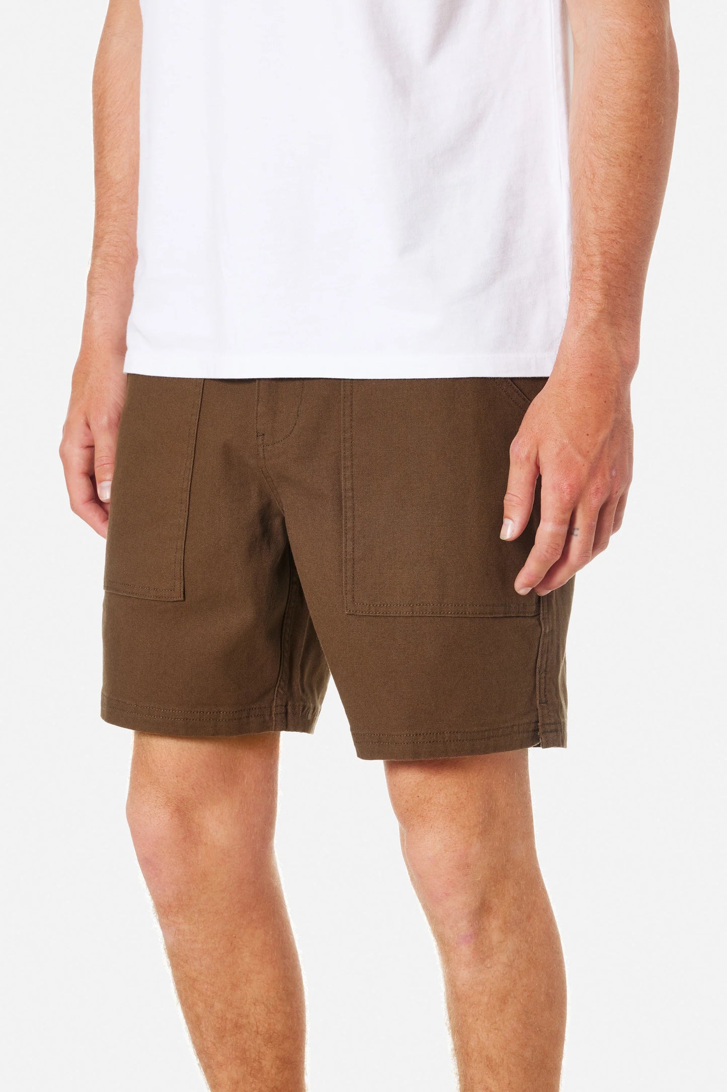 Trails Canvas Shorts in Earth