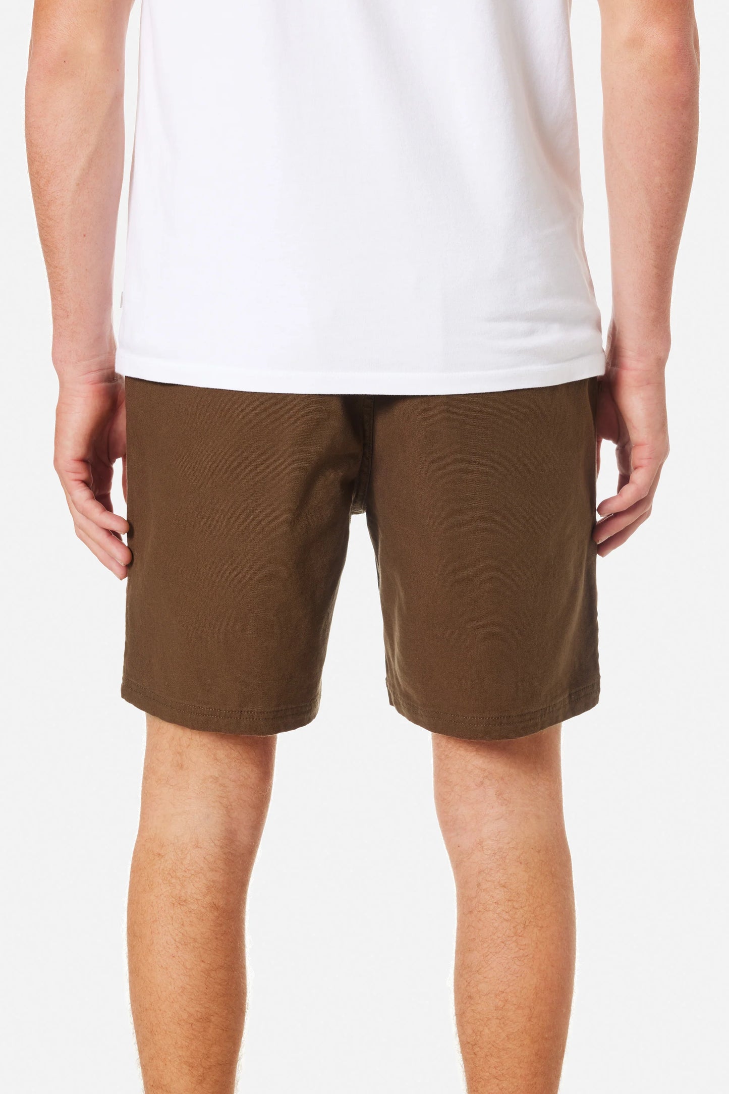 Trails Canvas Shorts in Earth