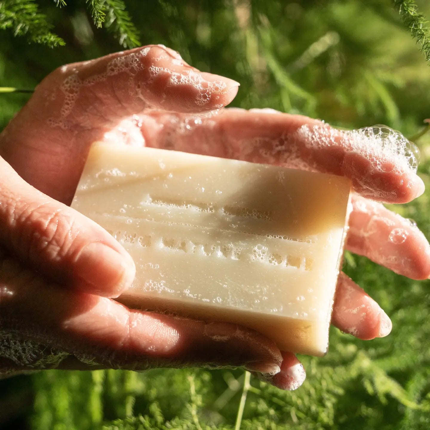 Sierra Forest Bar Soap