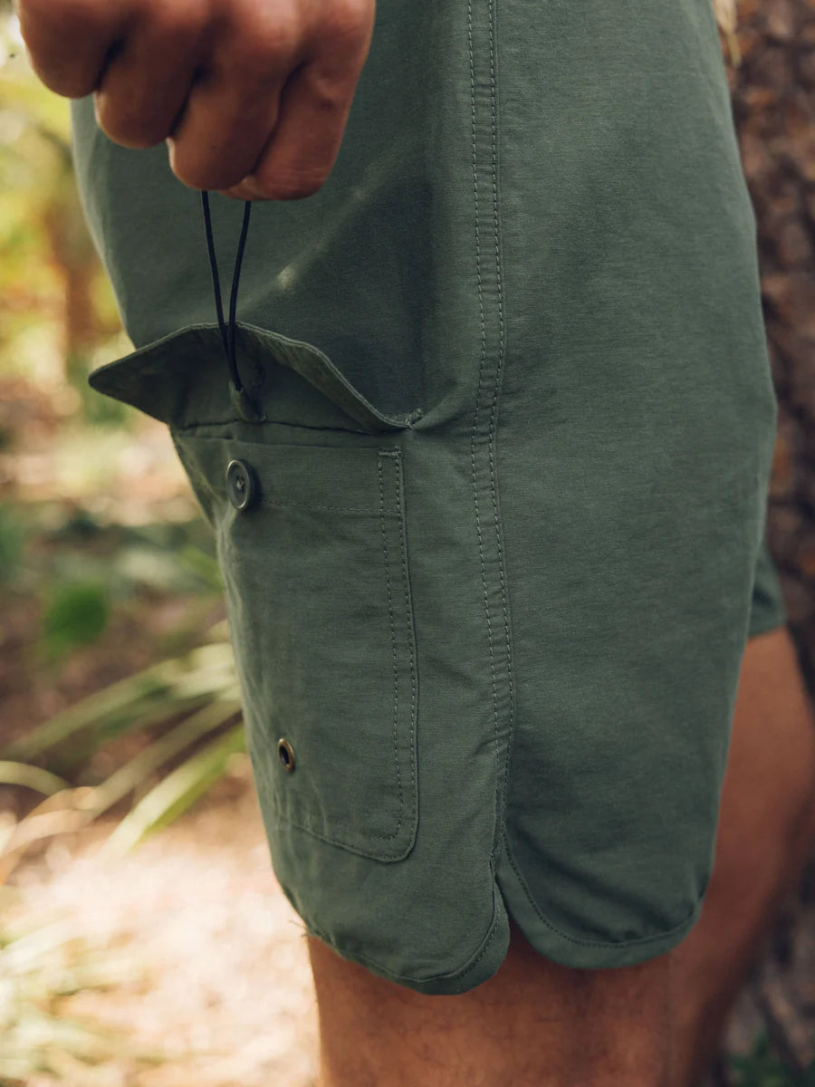 Scallop Trunks in Deep Forest