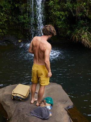 Scallop Trunks in Mustard